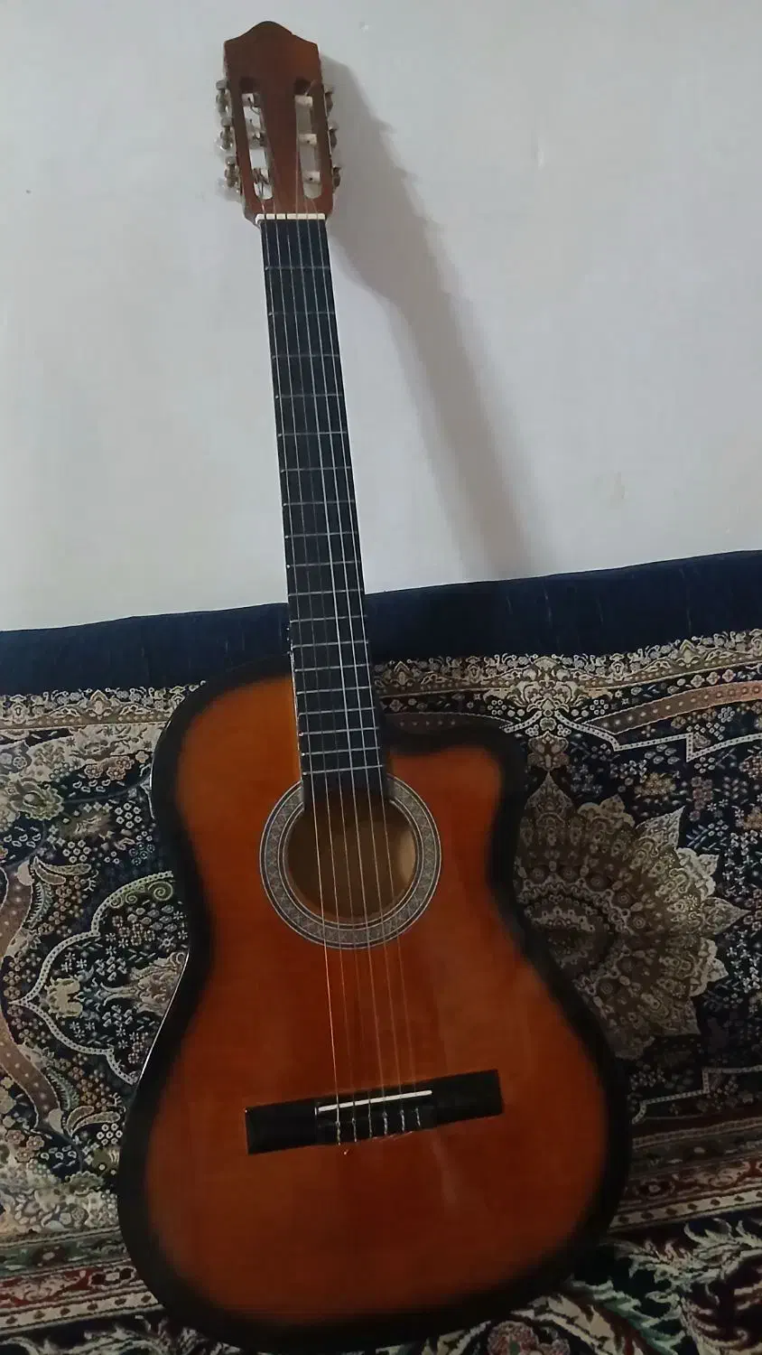 گیتار|گیتار، بیس، امپلیفایر|دورود, |دیوار