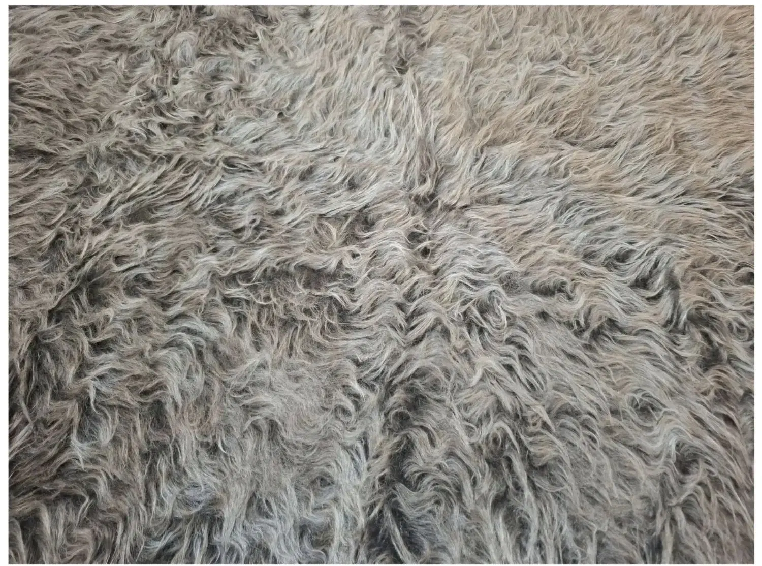 فرش ماشینی فانتزی|فرش|مشهد, هنرستان|دیوار