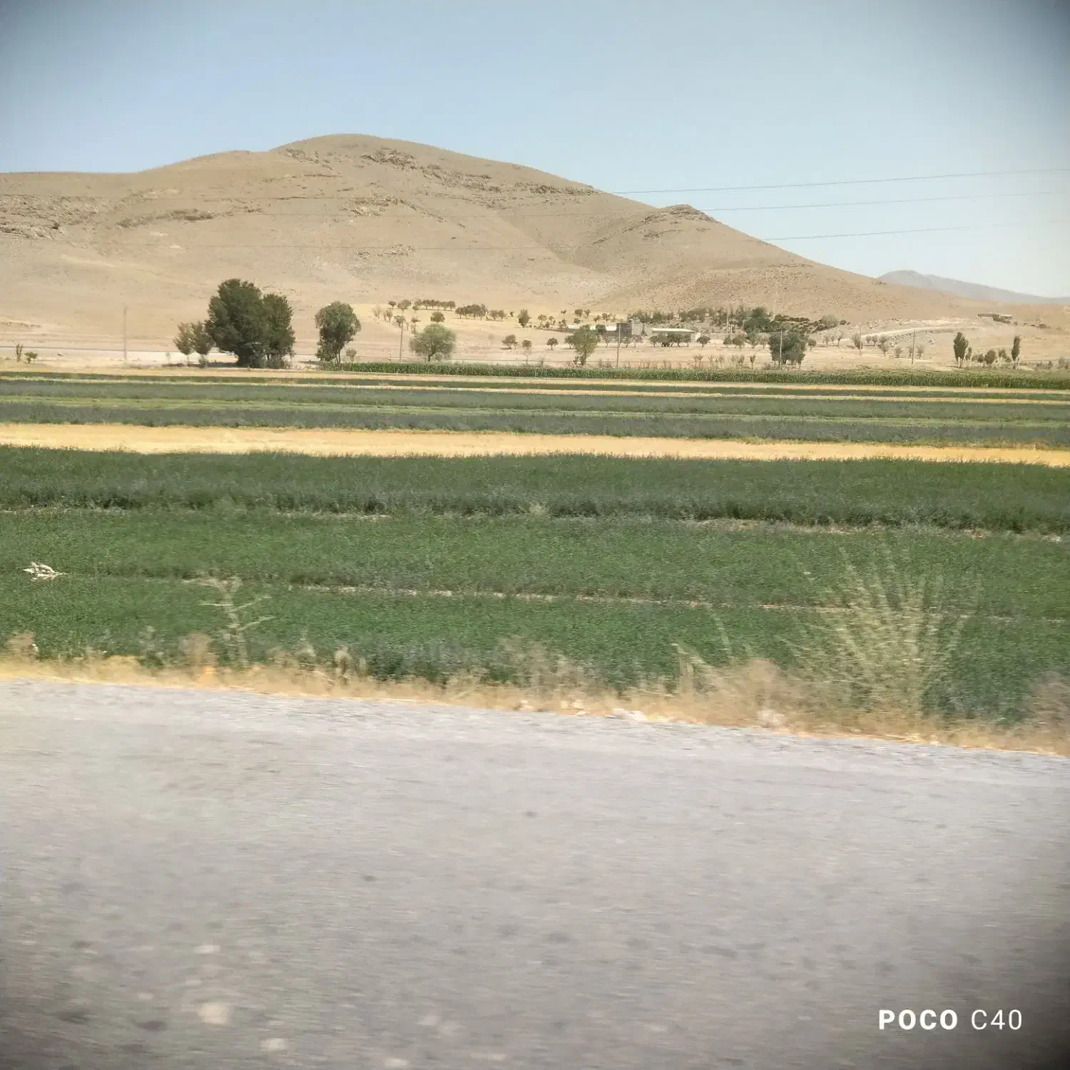 فروش ینجه|لوازم جانبی حیوانات|رودشت (چهارمحال و بختیاری), |دیوار