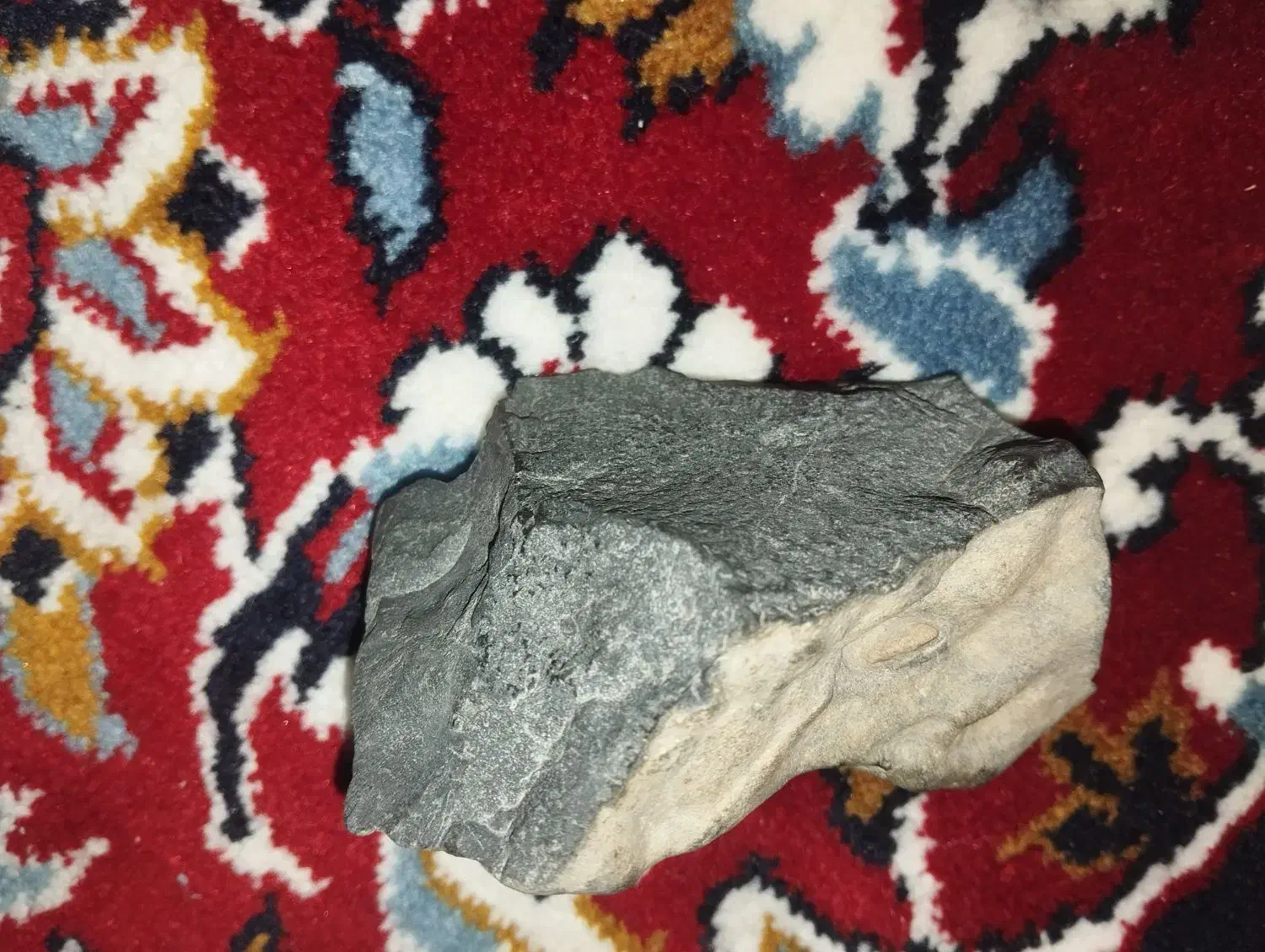 شهاب سنگ|کلکسیون و سرگرمی|تهران, فلسطین (میدان انقلاب)|دیوار