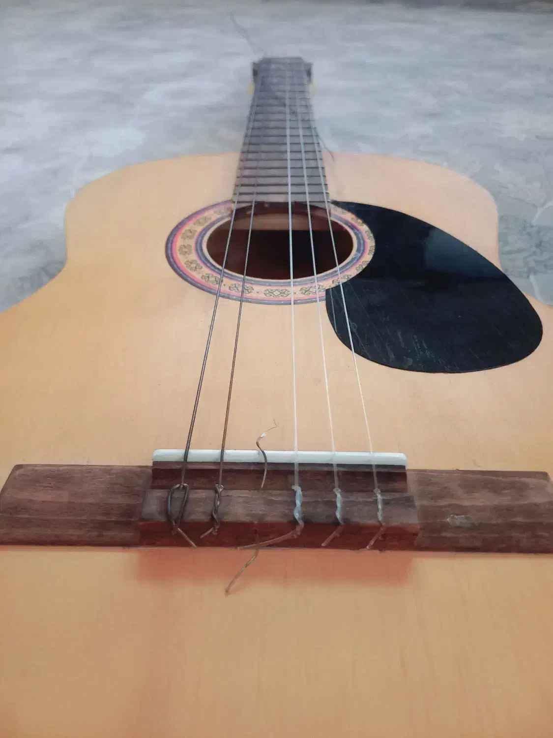 گیتار metapor به همراه کیف|گیتار، بیس، امپلیفایر|تربتحیدریه, شهرک ولیعصر|دیوار