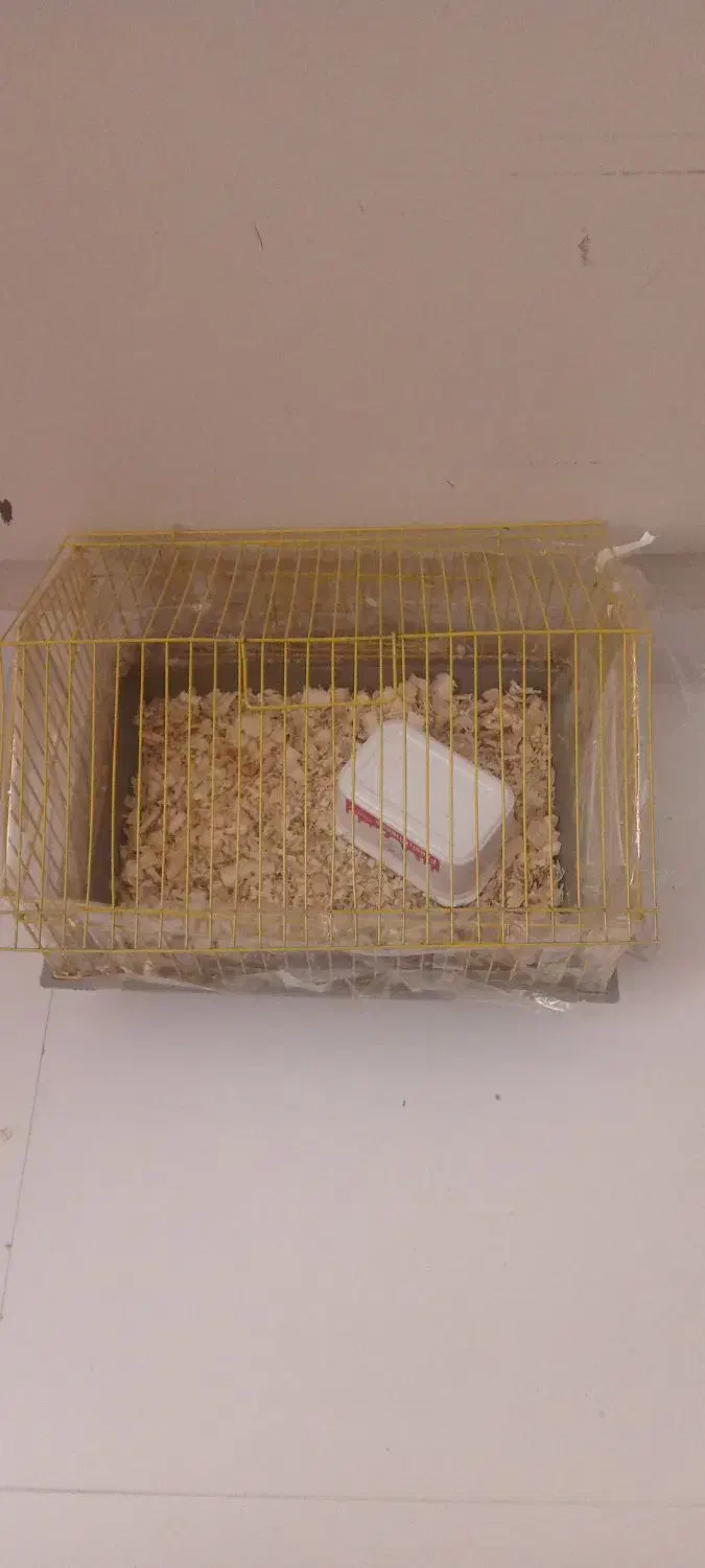 قفس پرنده|لوازم جانبی حیوانات|کرج, شهرک بهارستان|دیوار