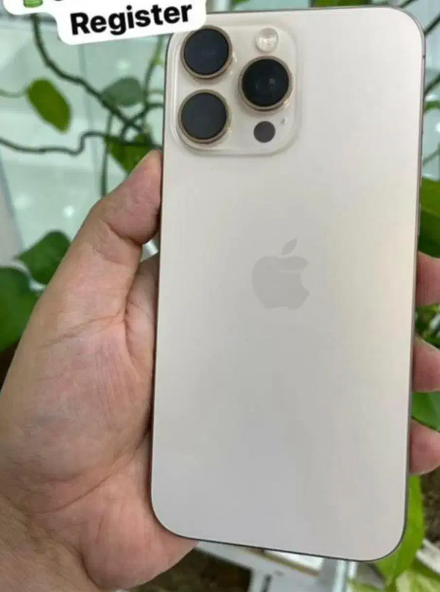 16promax256|موبایل|مرودشت, تامین اجتماعی‎|دیوار