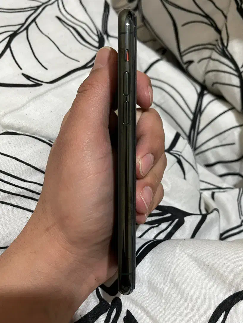 iPhone 11 Pro|موبایل|کرج, باغستان|دیوار