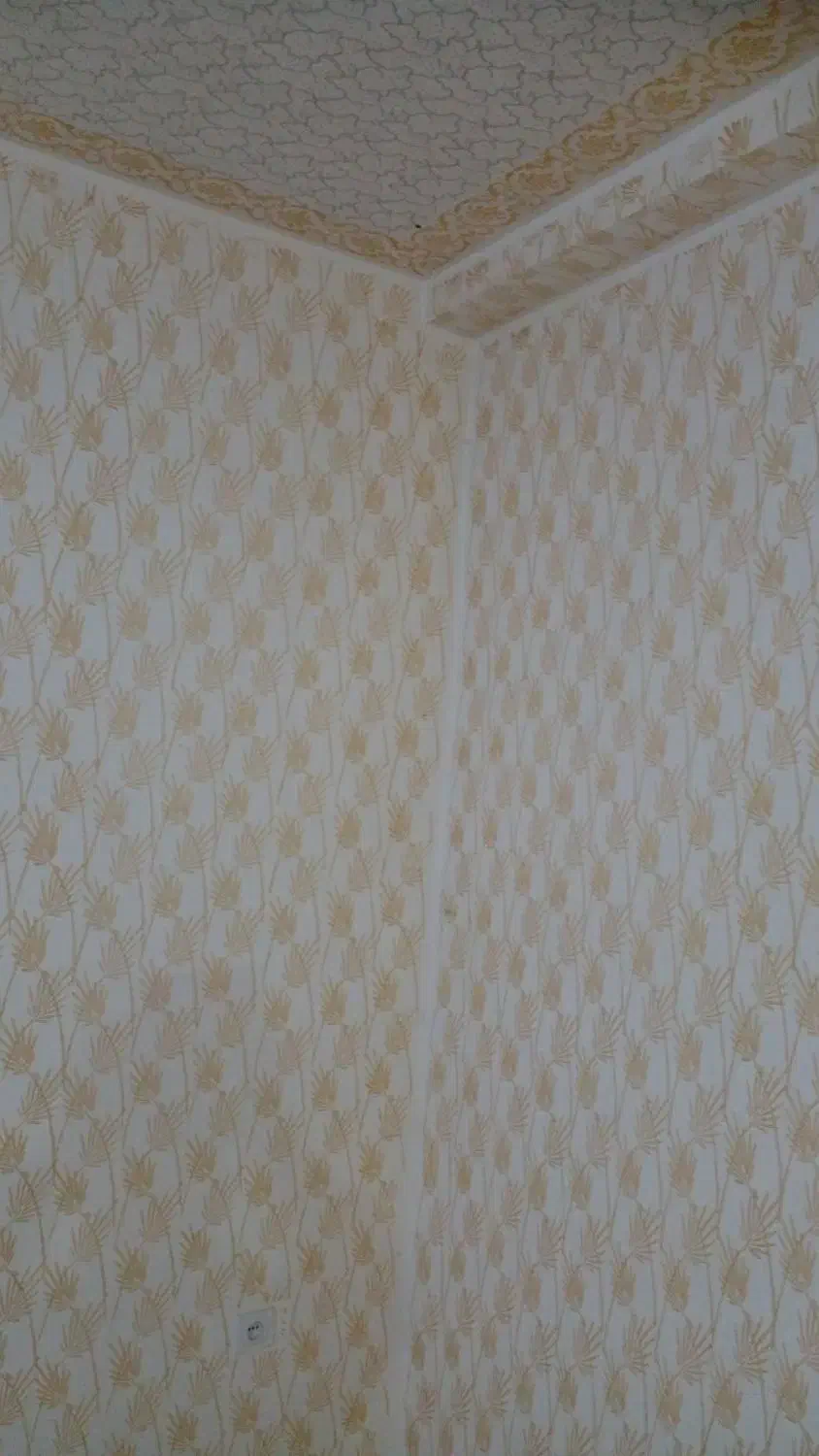 نقاشی مدرن ساختمان|خدمات پیشه و مهارت|بناب, |دیوار