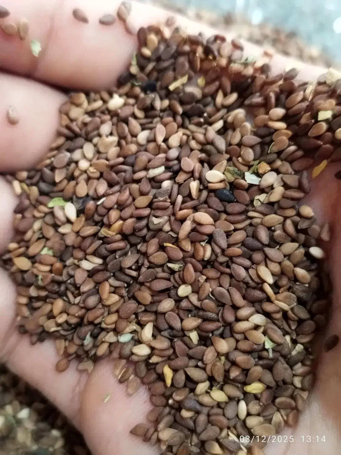 350000|خوردنی و آشامیدنی|سیلاخور, |دیوار