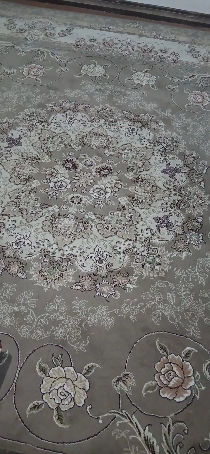 فرش ۱۲ متری ۷۰۰ شانه  کاملاسالم|فرش|زرقان, |دیوار