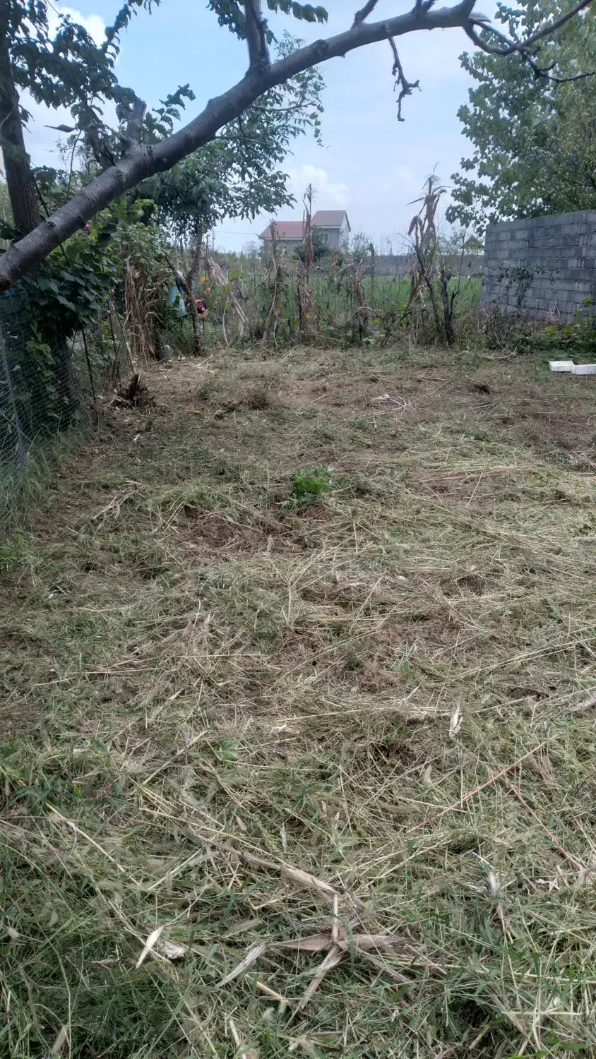 فروش زمین شهری رودبنه مسکونی(( با پروانه))|فروش زمین و ملک کلنگی|رودبنه, |دیوار