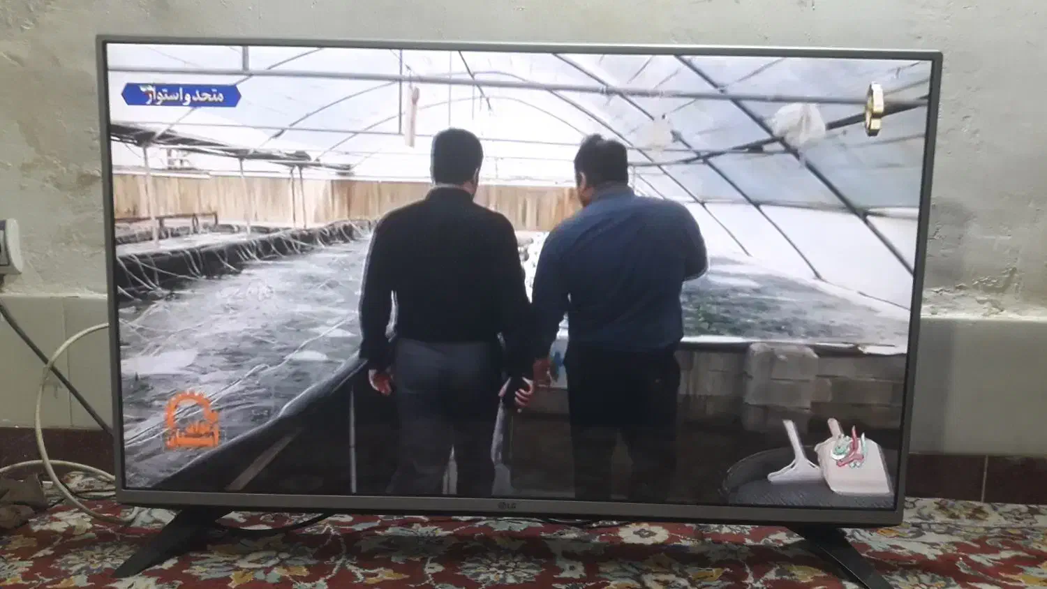 ال ای دی ۴۳ اینچ الجی|تلویزیون و پروژکتور|قم, شهرک امام حسین|دیوار