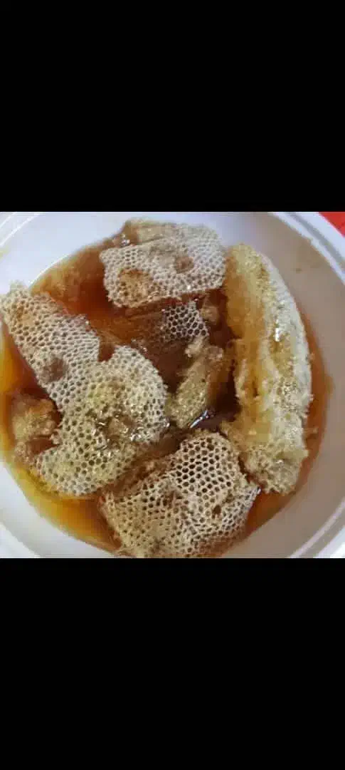 عسل کوهی استان فارس اصل برای خواص درمانی|خوردنی و آشامیدنی|شاهینشهر, مخابرات (شهید بهشتی)|دیوار