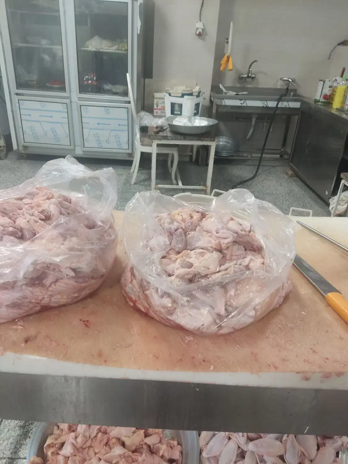 غذای سگ خام وپخته|لوازم جانبی حیوانات|زنجان, |دیوار