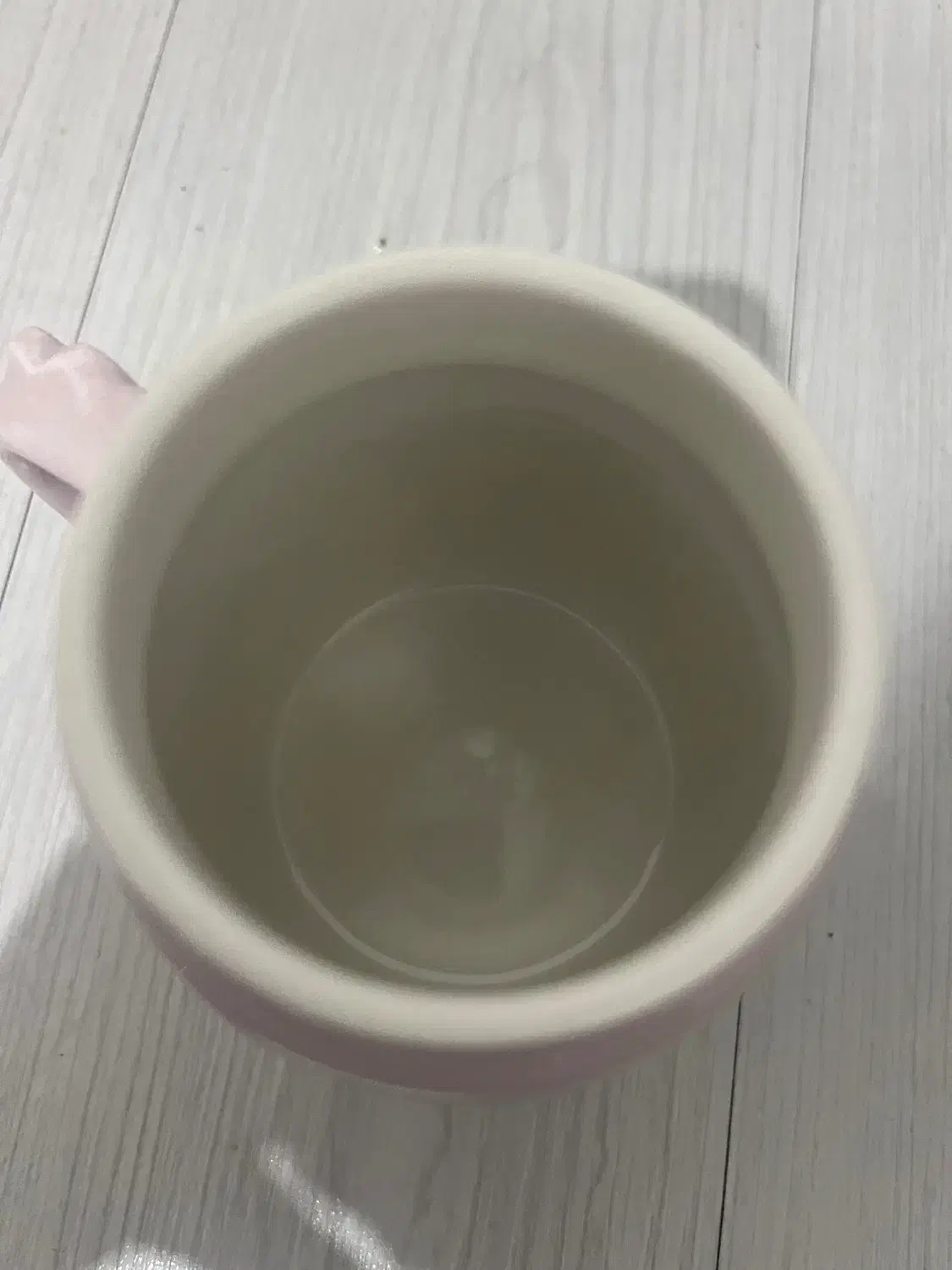 ماگ|ظروف سرو و پذیرایی|مشهد, فلسطین|دیوار