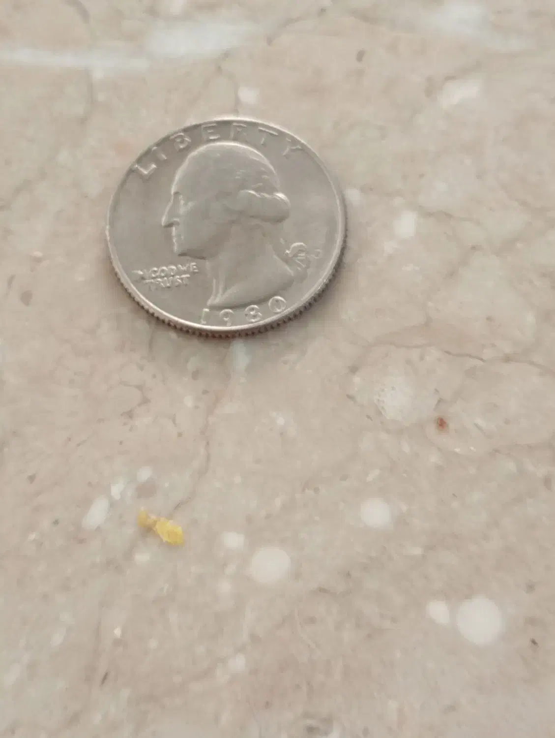 سکه قدیمی|کلکسیون سکه، تمبر، اسکناس|مشهد, شهید قربانی|دیوار