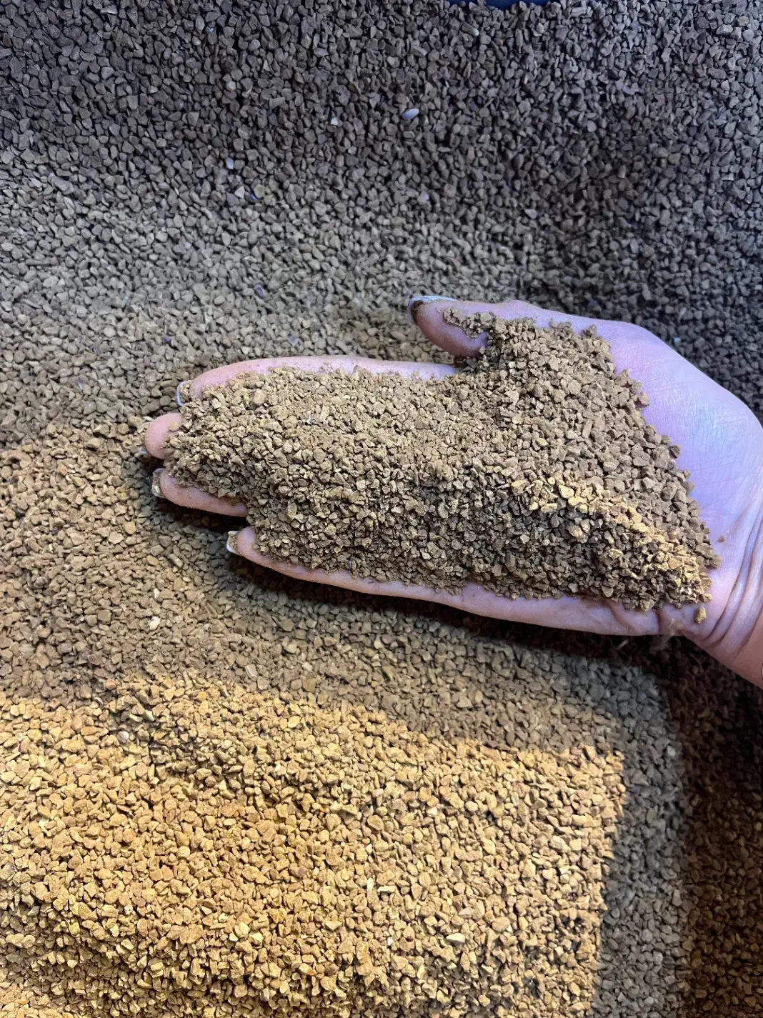 گلد کلاسیک|عمده‌فروشی|مشهد, ایثار|دیوار