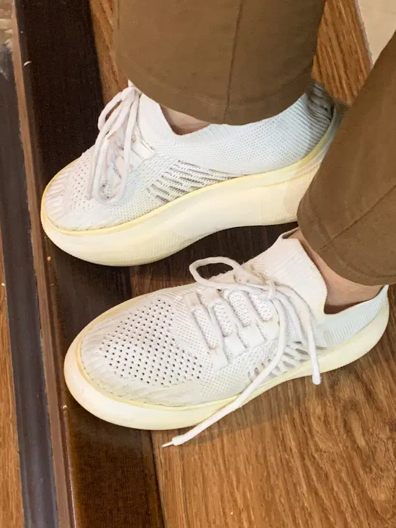 تعداد زیادی کفش۳۸-۳۹-۳۷|کیف، کفش، کمربند|شیراز, شیمی گیاه|دیوار