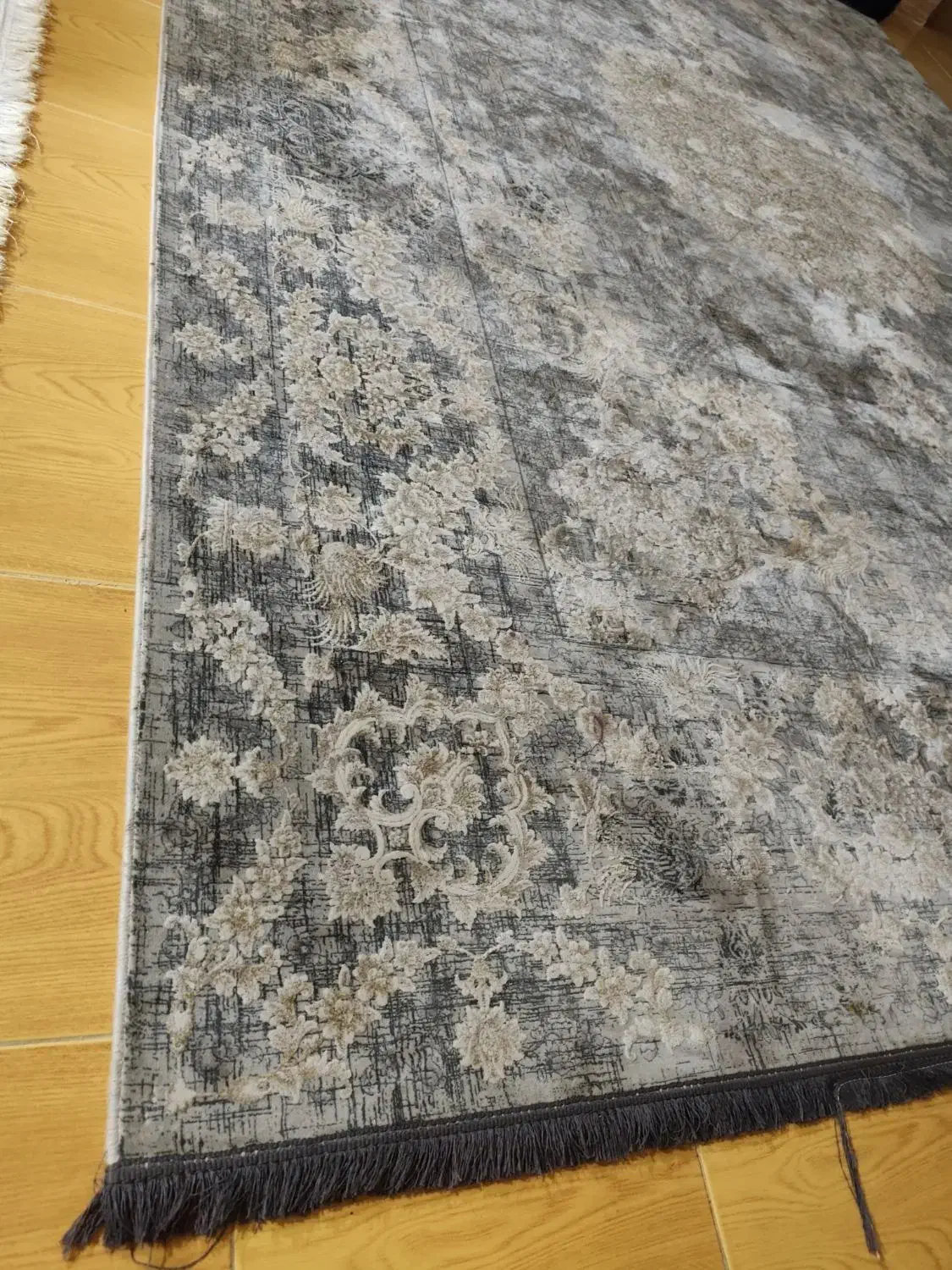 فرش|فرش|بندرعباس, |دیوار