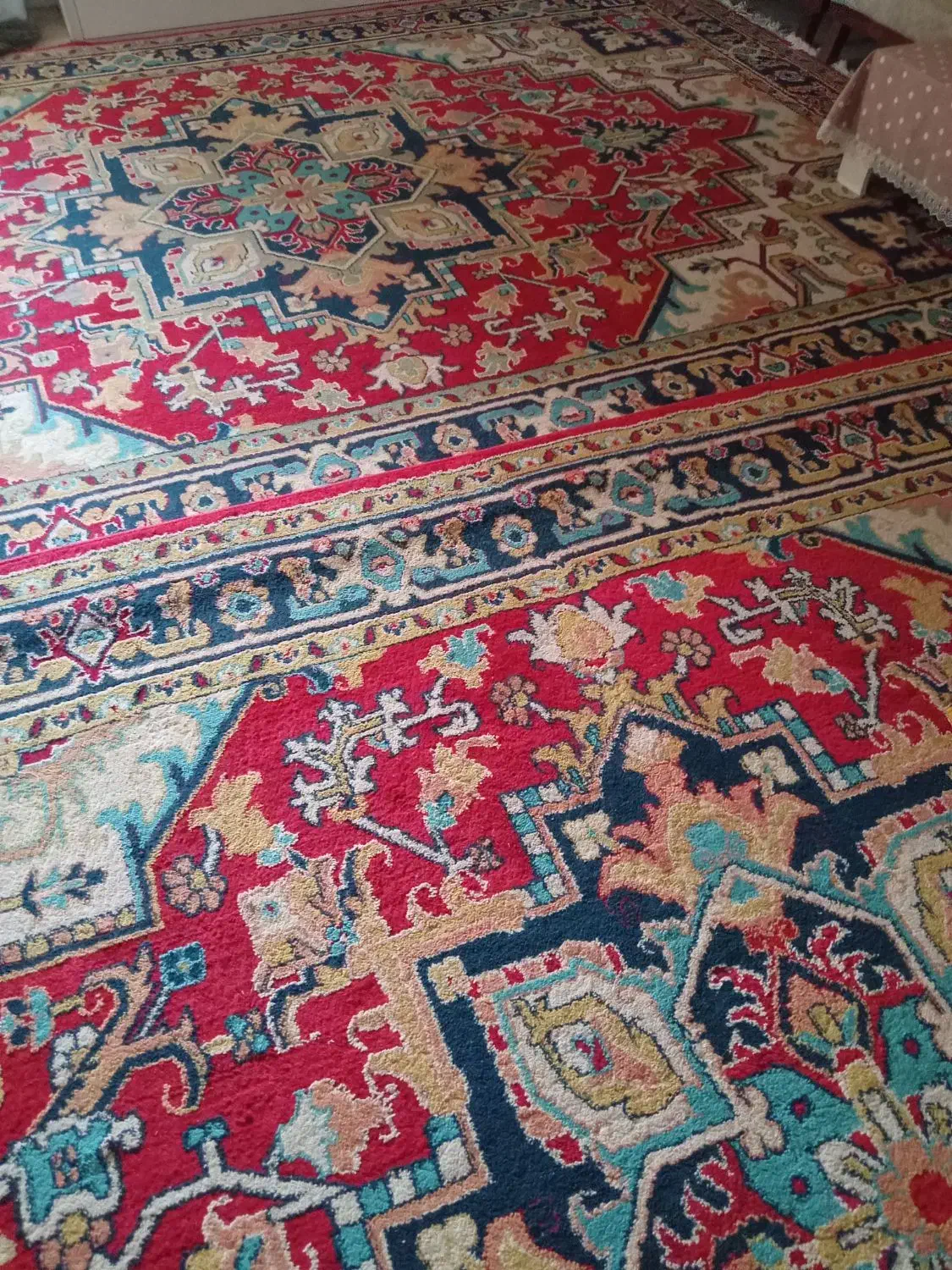 فرش|فرش|بندرعباس, |دیوار