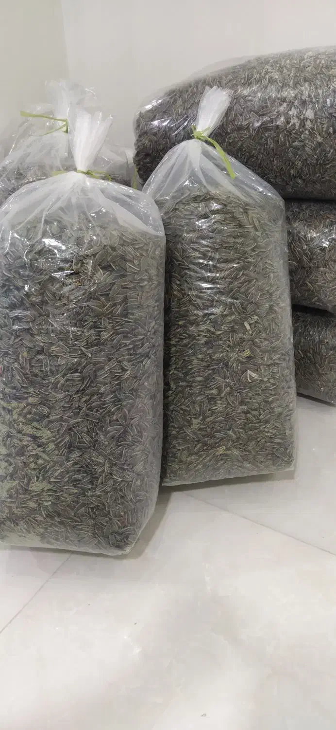 تخمه آفتابگردان|خوردنی و آشامیدنی|تهران, خلیج فارس|دیوار