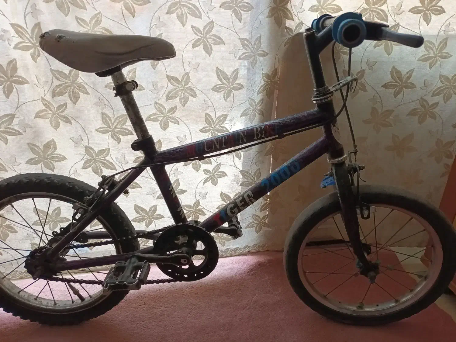 دوچرخه|دوچرخه، اسکیت، اسکوتر|سراب, |دیوار