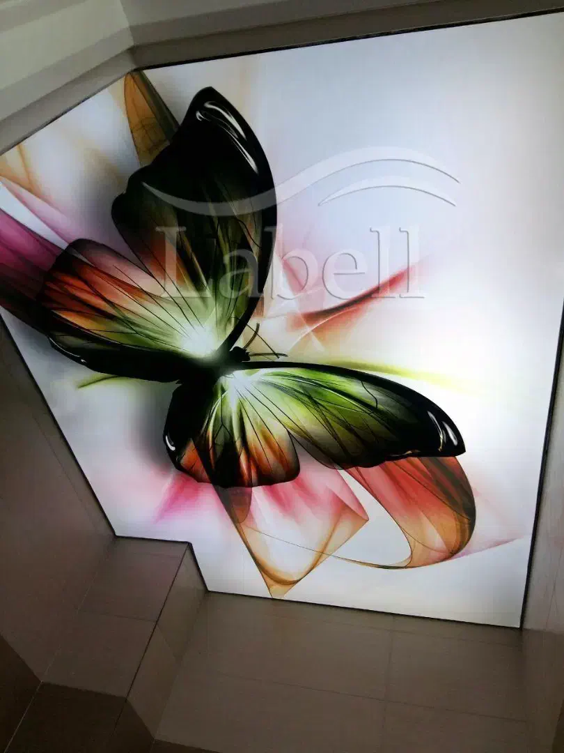 سقف کشسان و لاین نوری|مصالح و تجهیزات ساختمان|قم, بنیاد|دیوار