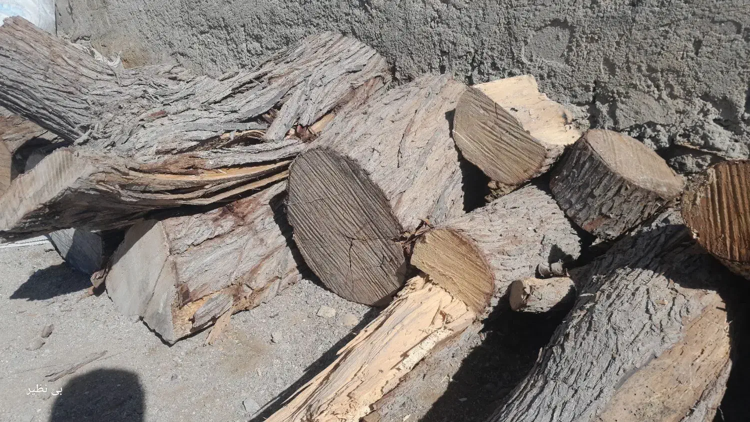 تنه درخت|خدمات باغبانی و درختکاری|قشم, |دیوار