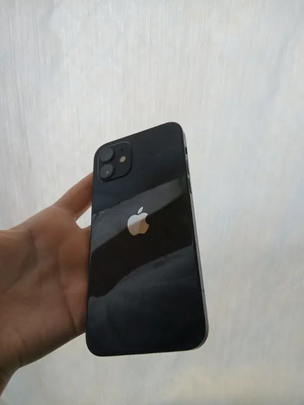 iPhone 12 normal|موبایل|شاهرود, |دیوار