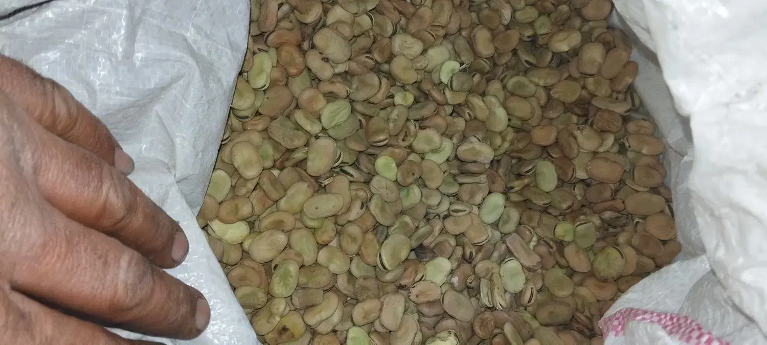 باقلا|خوردنی و آشامیدنی|سرپل ذهاب, |دیوار