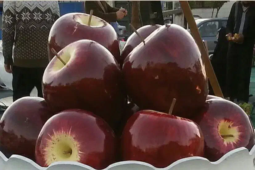 طراحی و ساخت هفت سین ۱۴۰۵.نماد اسب.و سین ها|مجسمه، تندیس، ماکت|کرمان, |دیوار