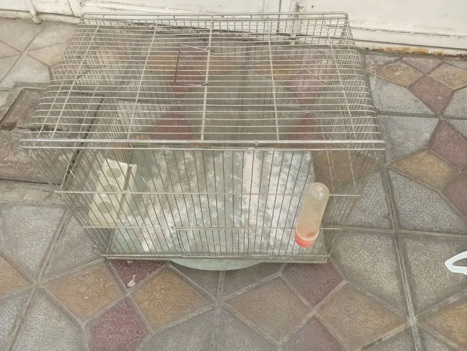 قفس پرنده|لوازم جانبی حیوانات|خوی, |دیوار