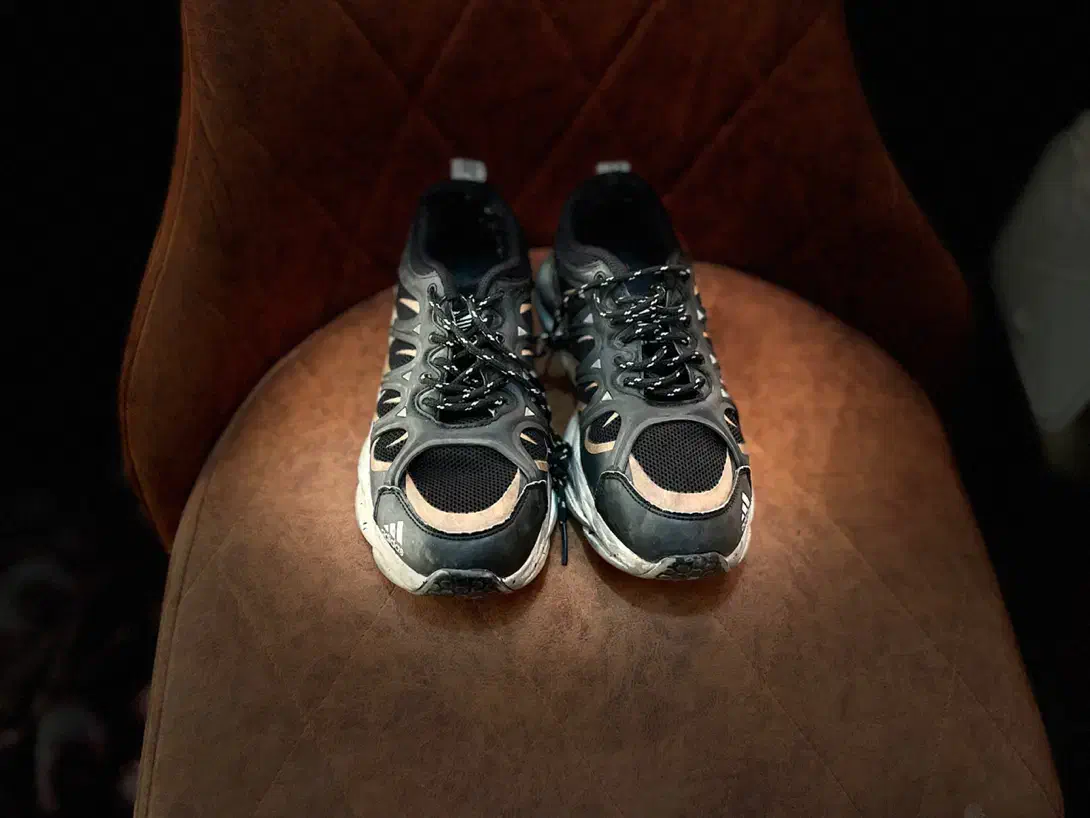 کفش ادیداس مشکی طلایی|کیف، کفش، کمربند|ری, سیزده آبان|دیوار