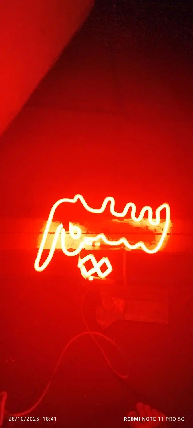 چراغ نئون سیم پیچی به همراه ترانس|ریسه و چراغ تزئینی|تهران, کوی بیمه|دیوار