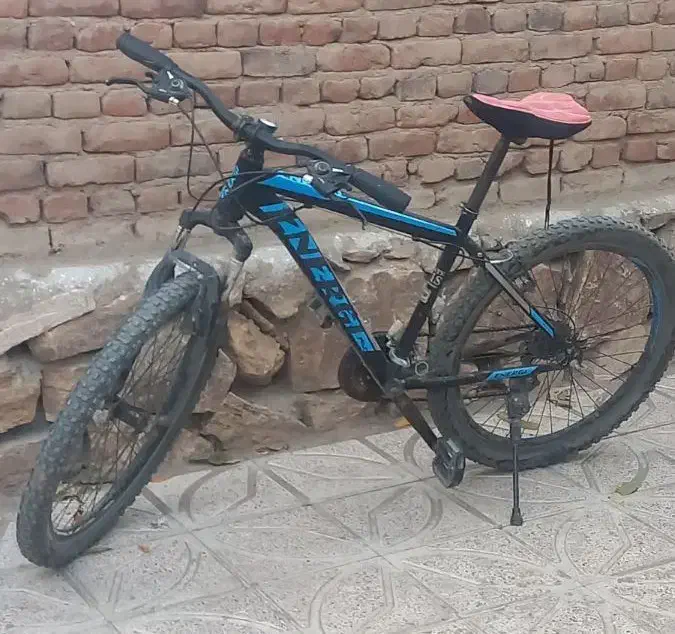 انرژی|دوچرخه، اسکیت، اسکوتر|عجب شیر, |دیوار