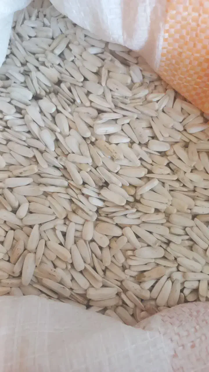 پسته و تخمه|خوردنی و آشامیدنی|بهاباد, |دیوار