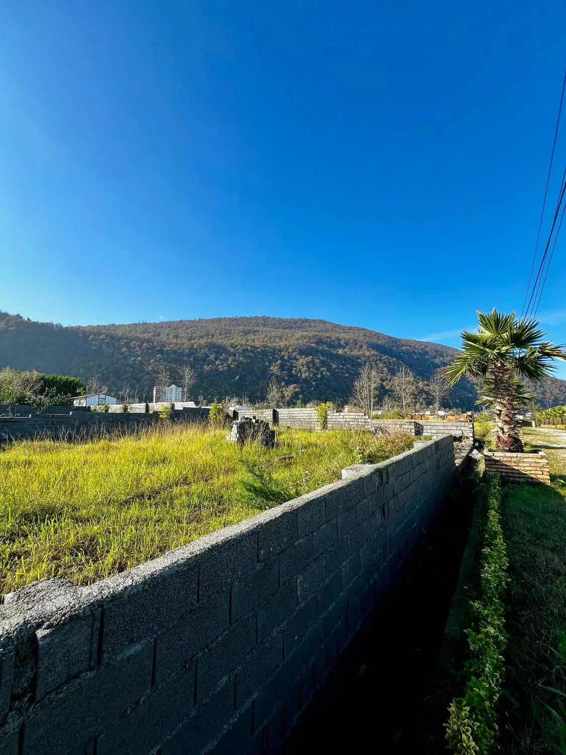 زمین ذوات غرب شهرکی 287 متر ویو عالی|فروش زمین و ملک کلنگی|چالوس, |دیوار