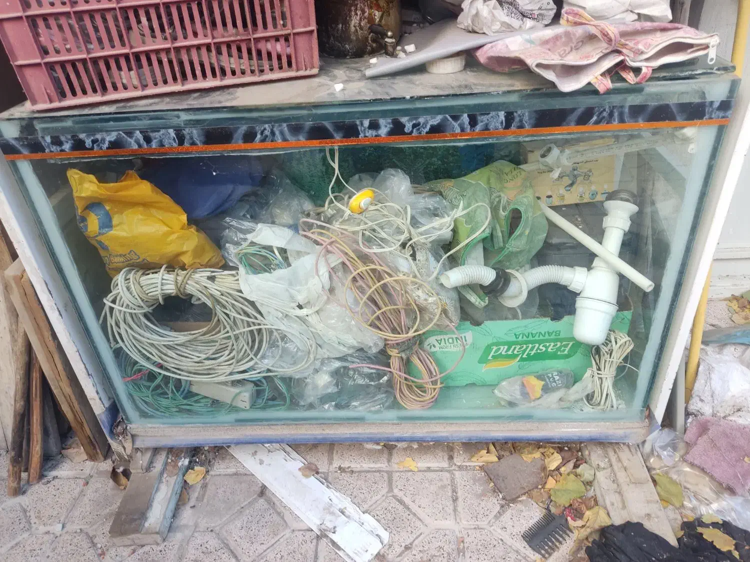 آکواریم|ماهی|اردبیل, |دیوار