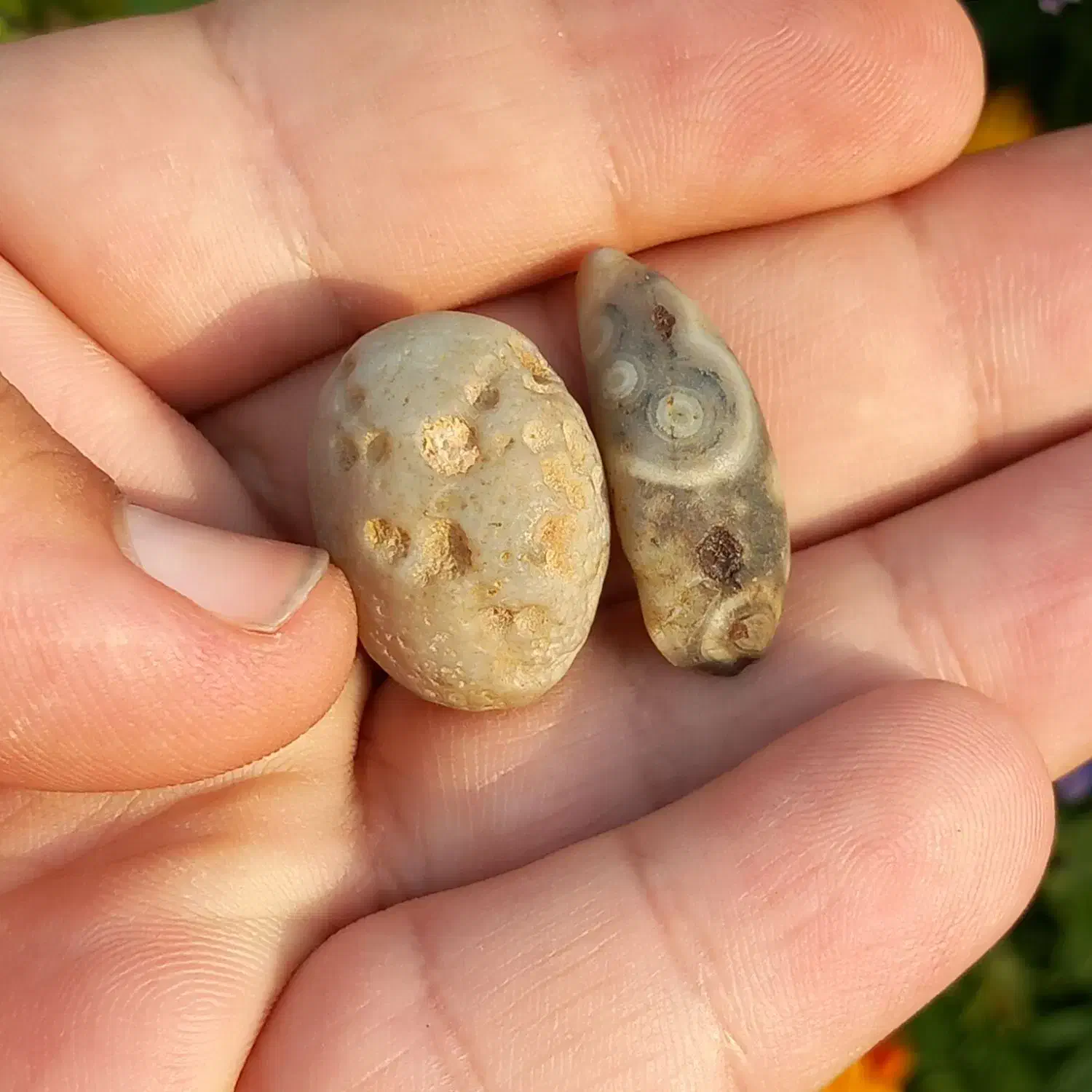 مهره برد عقیق باباقوری چشم دار قدیمی|جواهرات|یاسوج, |دیوار