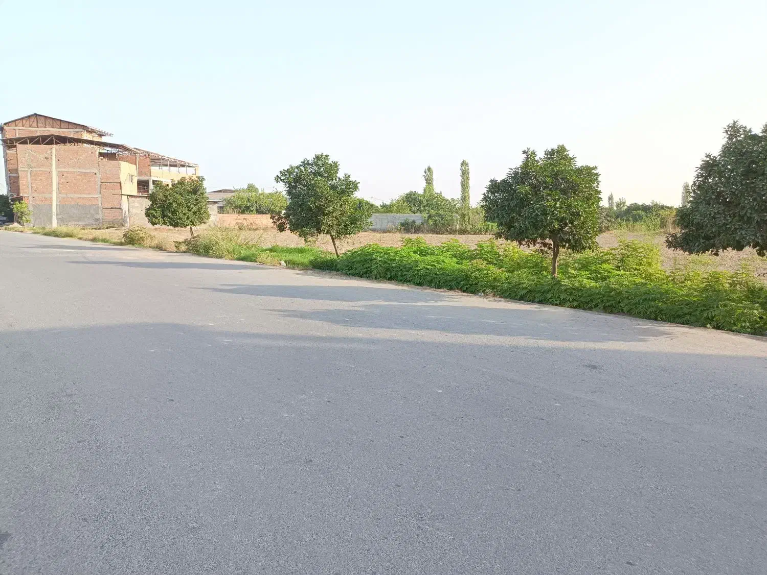 255 متر مربع زمین مسکونی در روستای لیوان شرقی|فروش زمین و ملک کلنگی|نوکنده, |دیوار