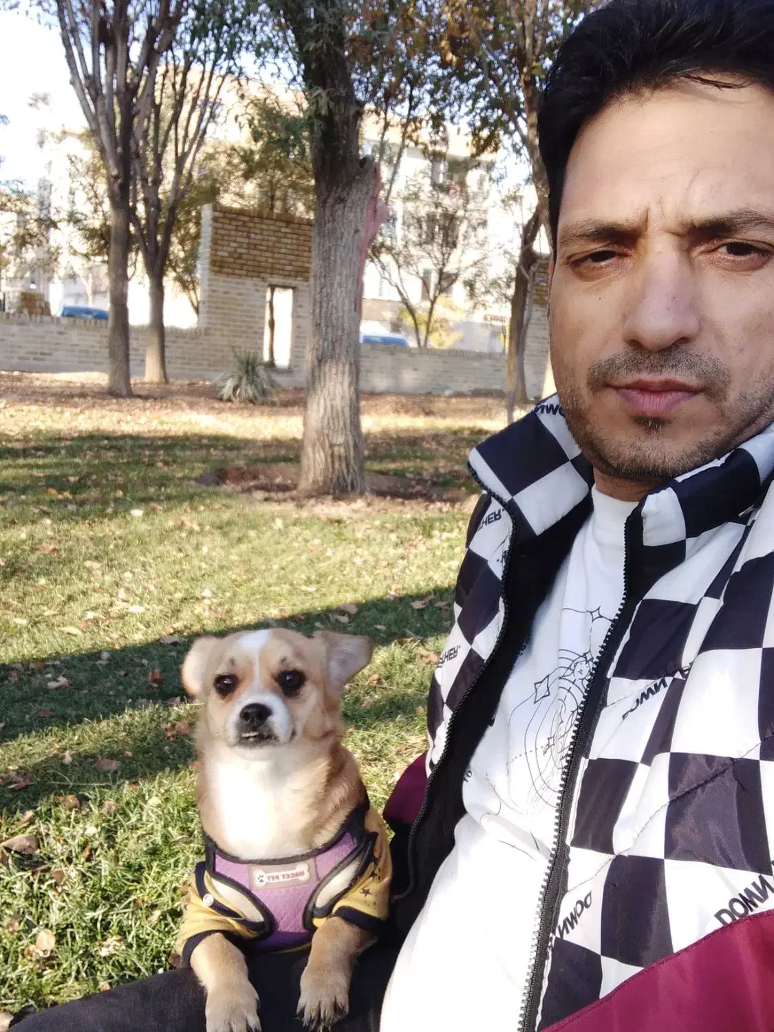 گمشده مژدگانی دریافت کنید|حیوانات|وحیدیه, |دیوار