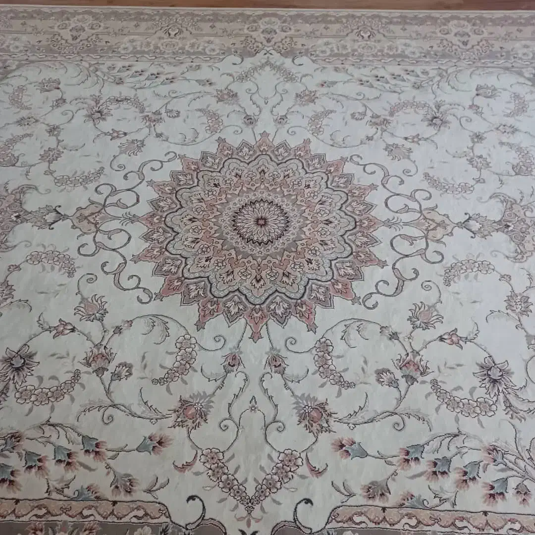 فرش 12متری|فرش|شوشتر, |دیوار