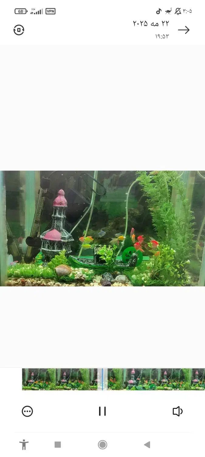 آکواریوم سالم / و دو عدد قفس سالم|ماهی|فومن, |دیوار