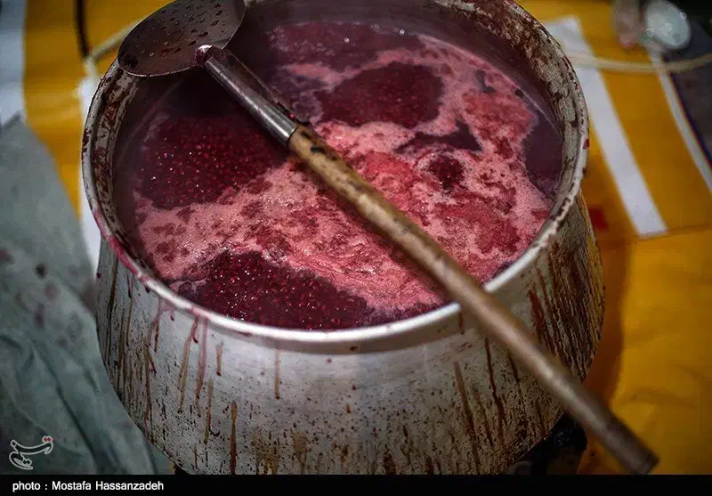 رب انار ملس عالی (طارم)|خوردنی و آشامیدنی|چورزق, |دیوار