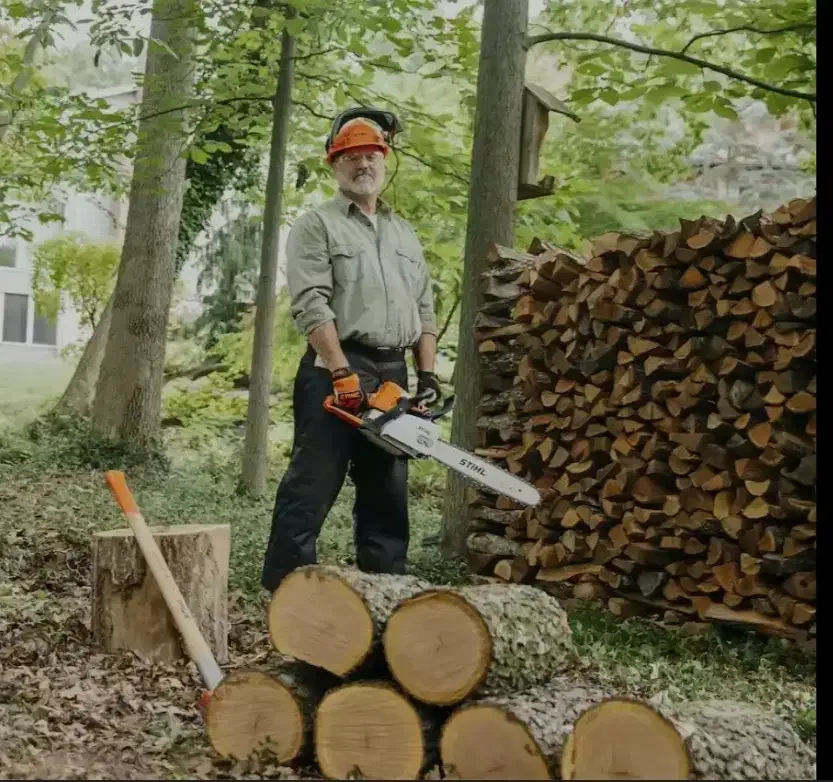 خدمات درخت بری در محل بدون هزینه|خدمات باغبانی و درختکاری|نجفآباد, امام خمینی|دیوار