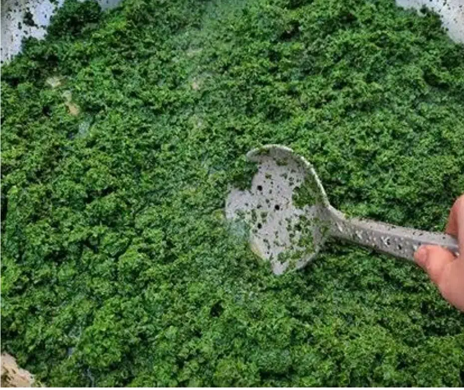 سبزی خورشتی|خوردنی و آشامیدنی|الیگودرز, |دیوار