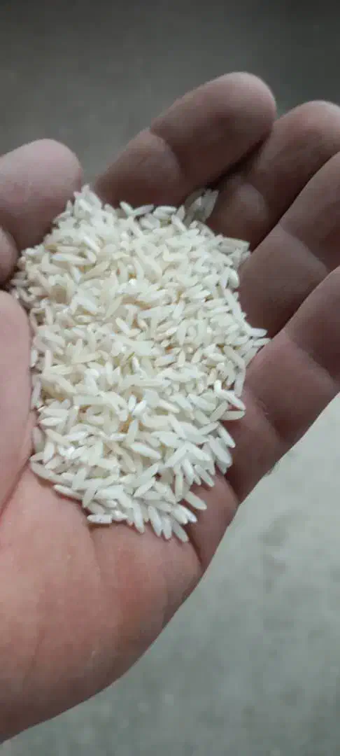 برنج ایرانی درجه یک مستقیم از کارخانه|فعالیت داوطلبانه|بابل, |دیوار