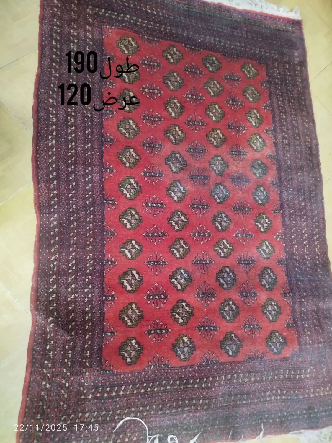 گلیم دست بافت|گلیم، جاجیم، گبه|مشهد, کوشک مهدی|دیوار