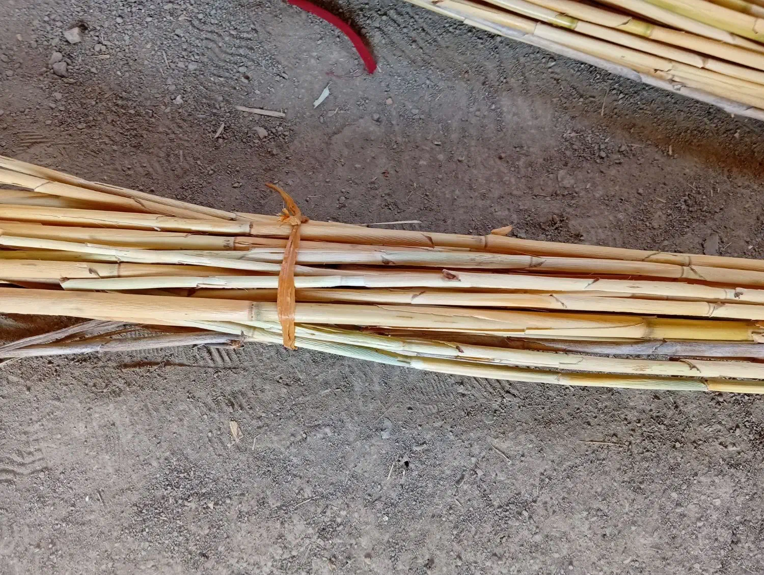 برای تکی و جفتی|سازهای سنتی|بوشهر, |دیوار