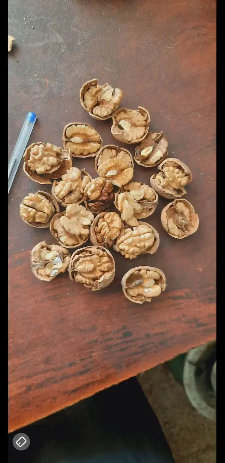 گردو همدان|خوردنی و آشامیدنی|قم, حاج زینل|دیوار