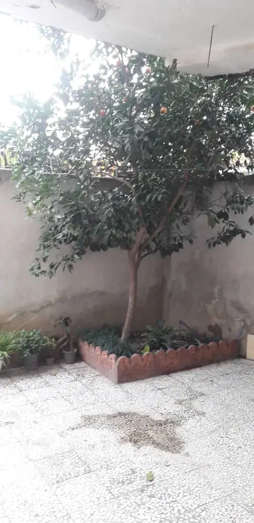 مغازه  فروش فوری|فروش مغازه و غرفه|آمل, |دیوار