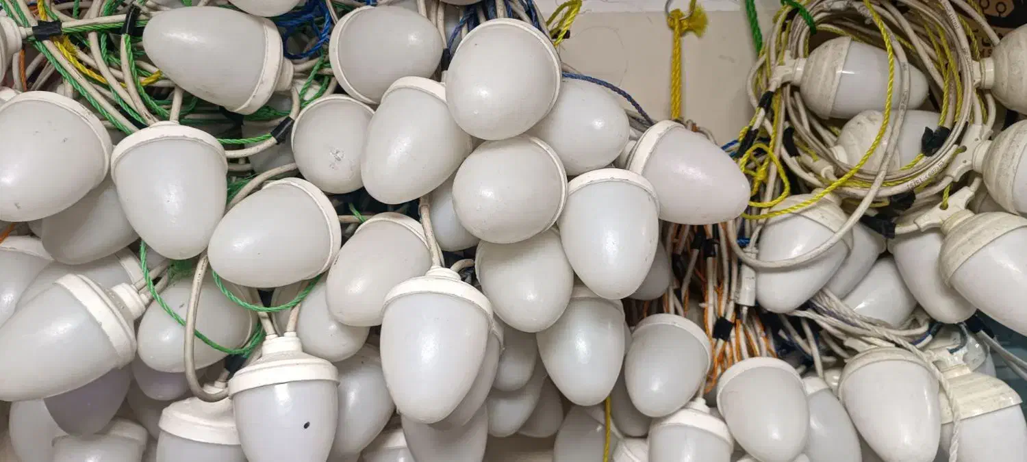 اجاره ریسه بلوطی هفت رنگ|ریسه و چراغ تزئینی|نسیم‌شهر, |دیوار