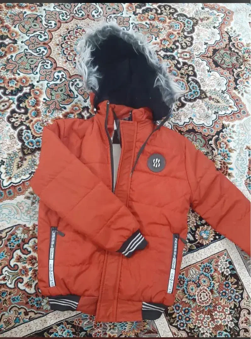 کاپشن|لباس|بوشهر, |دیوار